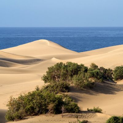 Gran Canaria DMC